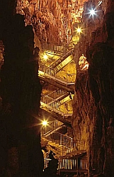 Grotta Gigante-kl