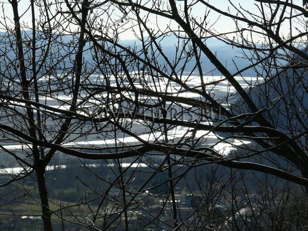 Tagliamento - winter