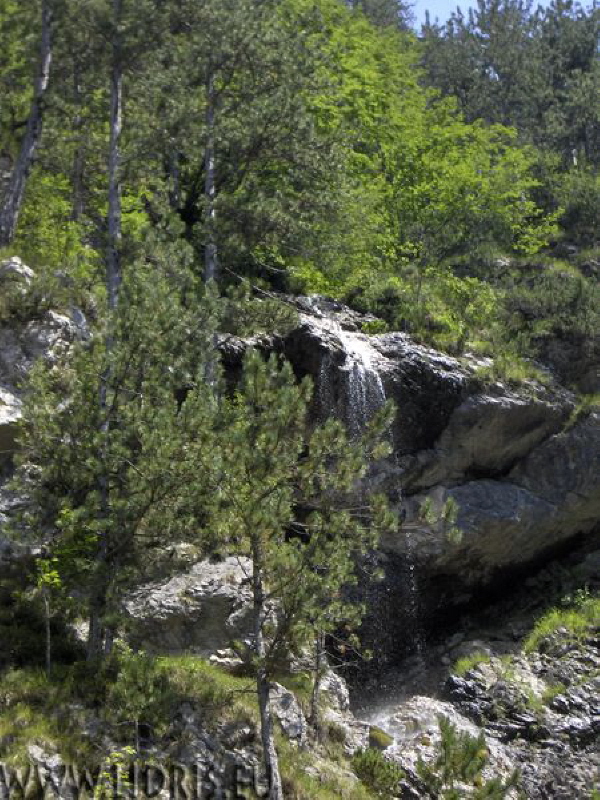 Vale di Claut - dino tocht 2