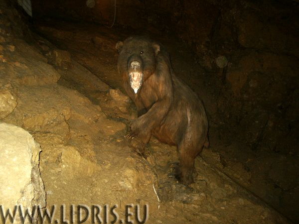 Villanova - Grotte Holenbeer